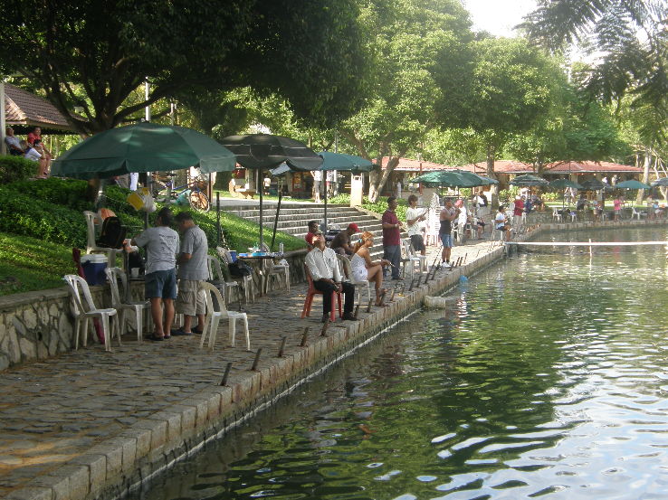 Pasir Ris Town Park Trip Packages