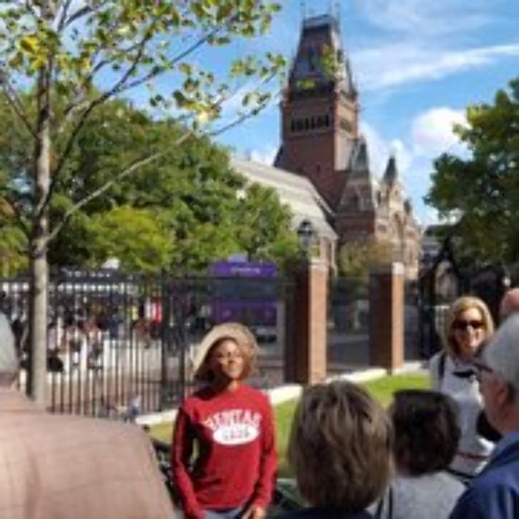 The Hahvahd Tour  Trip Packages