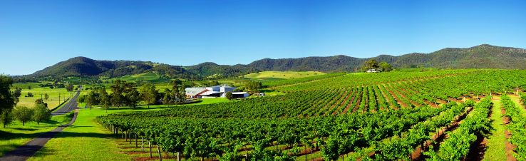 Hunter Region winemaking Trip Packages