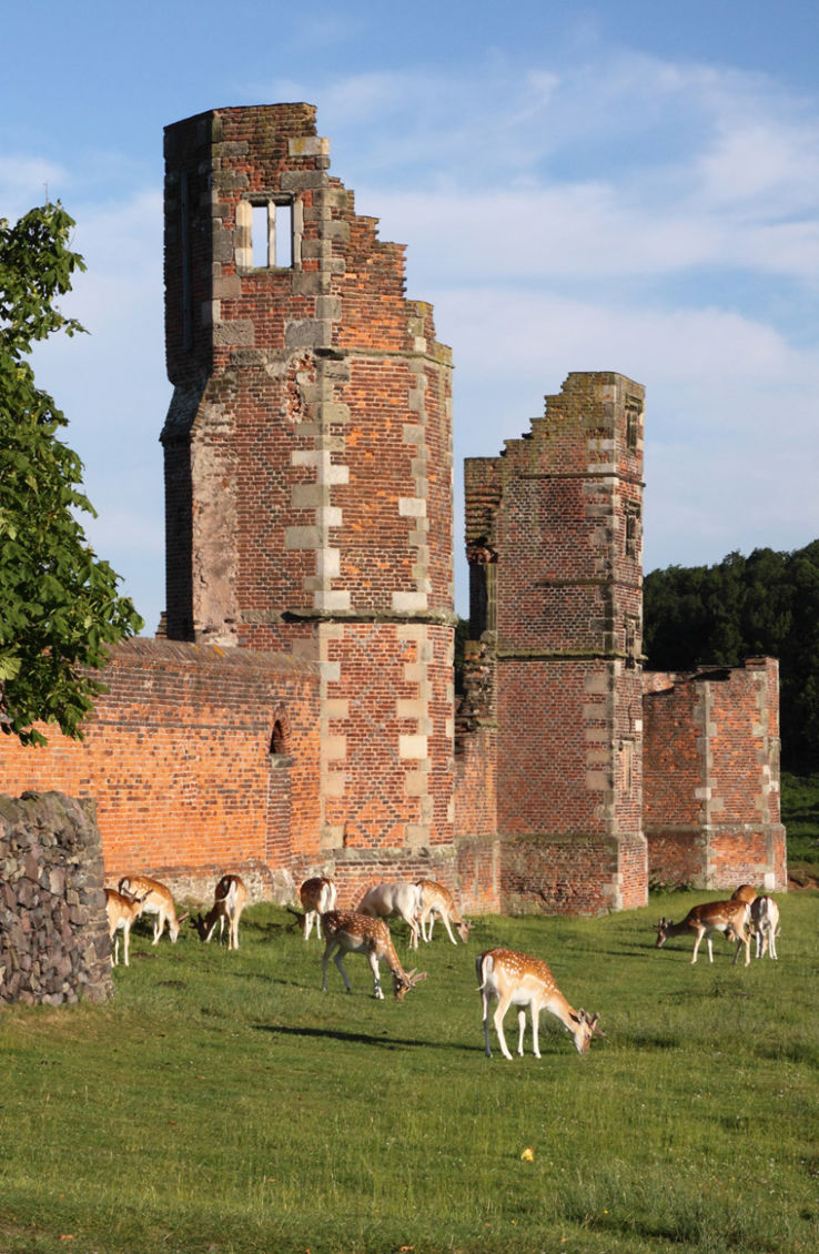 Bradgate House Trip Packages