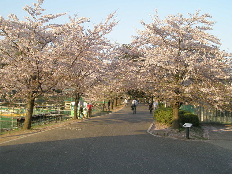  omiya Park Trip Packages