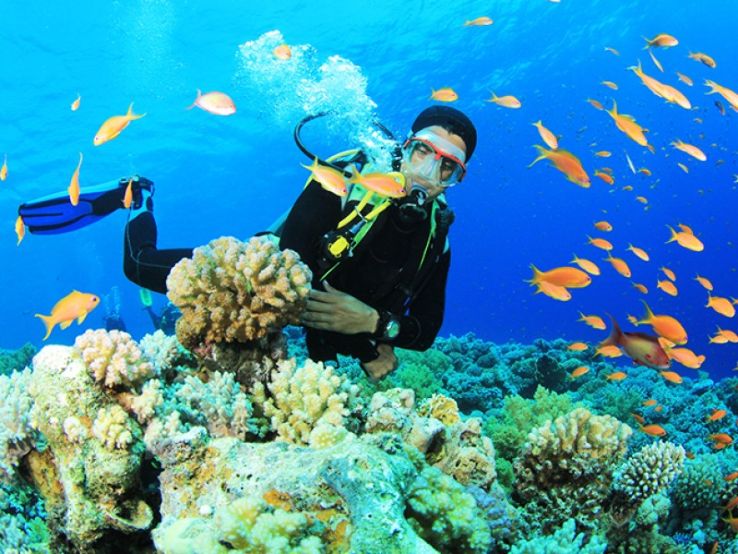 Go Scuba Diving In Havelock Islands Trip Packages