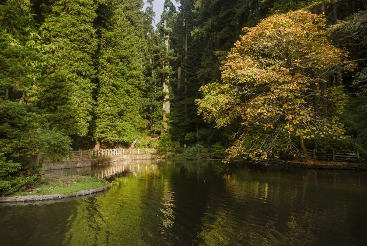 Sequoia Park Forest & Garden Trip Packages