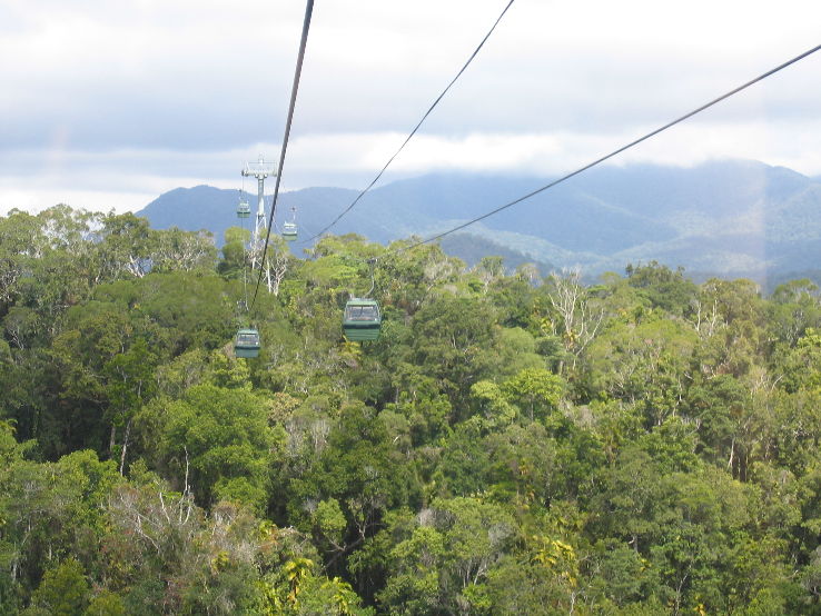 The Skyrail Rainforest Cableway, cairns city, Australia Top Attractions, Things to Do