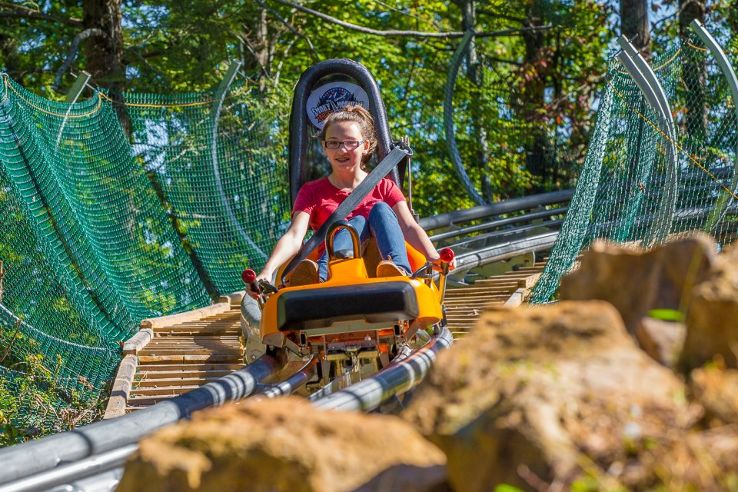 Smoky Mountain Alpine Coaster Trip Packages