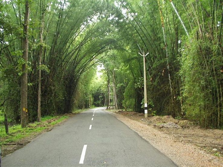 Sulthan Bathery Trip Packages