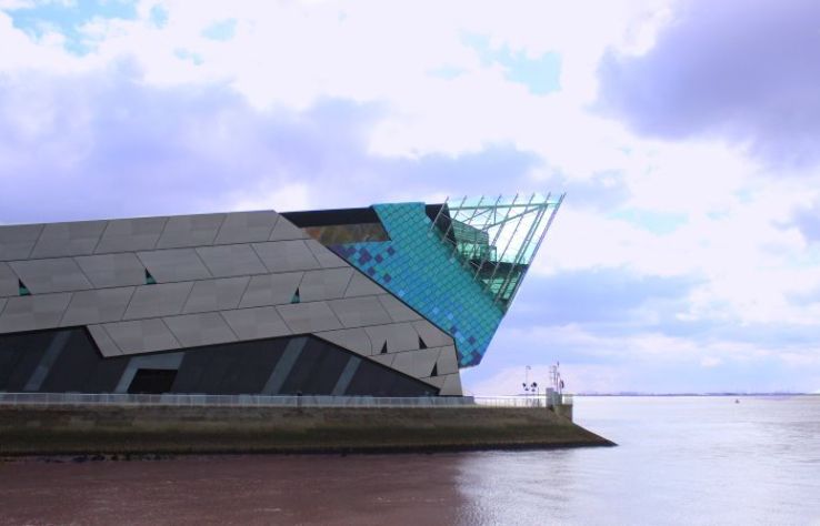 The Deep aquarium Trip Packages