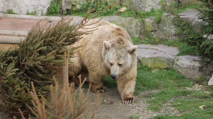 Fort Mardyck Zoological Park  Trip Packages