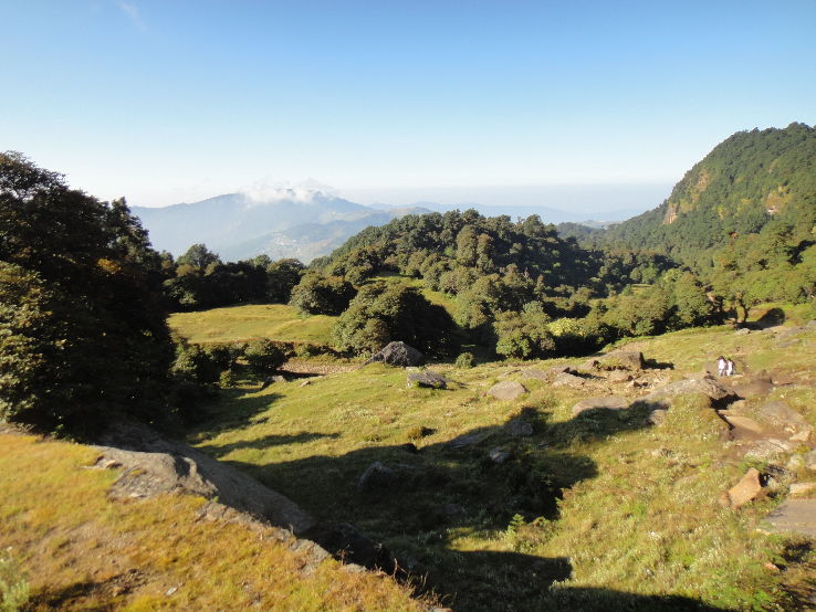 Forests of Tinjure, Milke and Jaljale Trip Packages