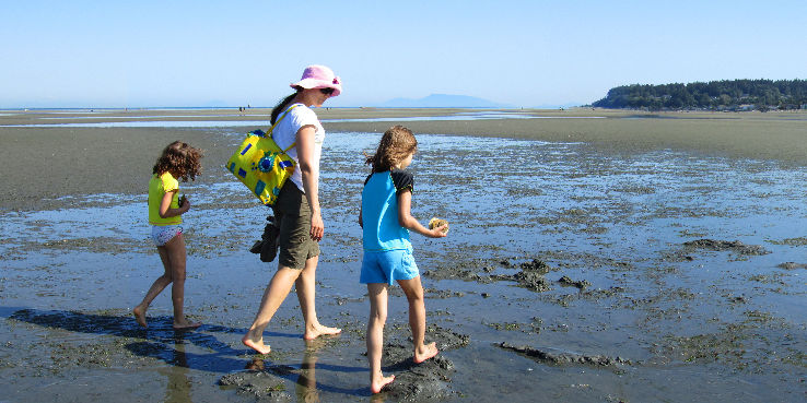 Centennial Beach Trip Packages