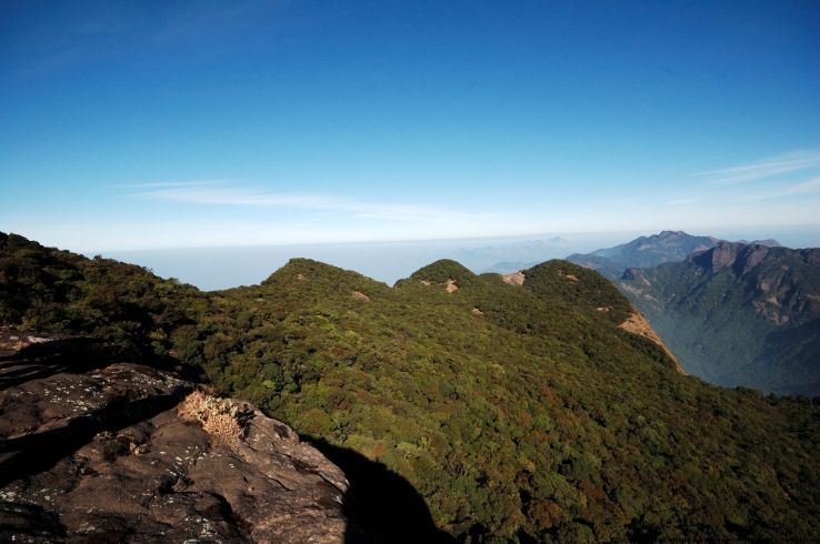 Vellari Mala Trip Packages