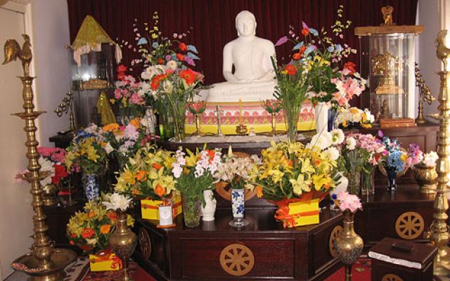 Vesak Festival Trip Packages