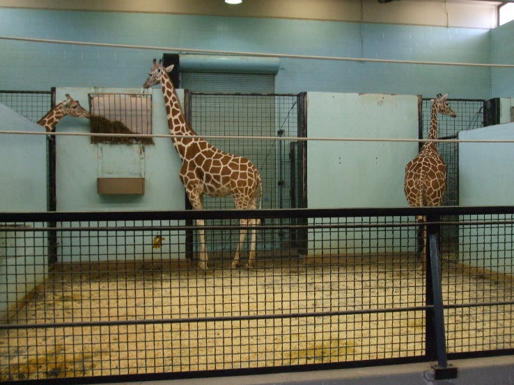 Buffalo Zoo Trip Packages