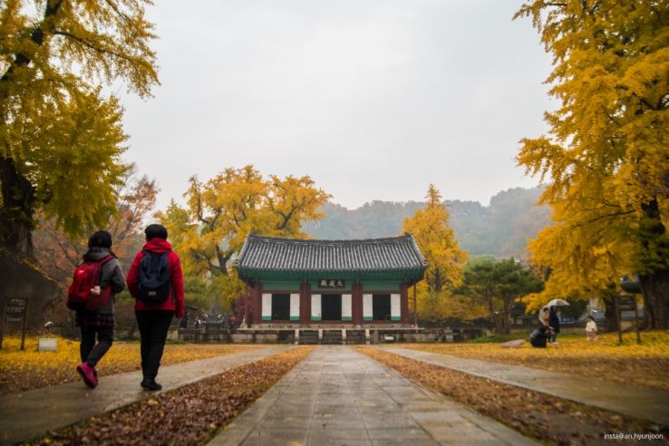 Jeonju Hyanggyo Trip Packages