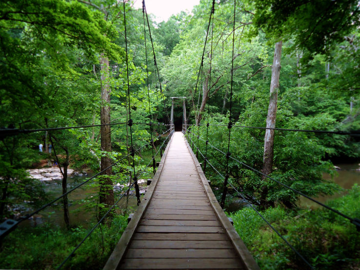 Eno River State Park Trip Packages