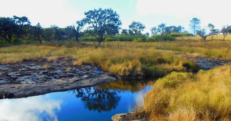 Murlen National Park Trip Packages