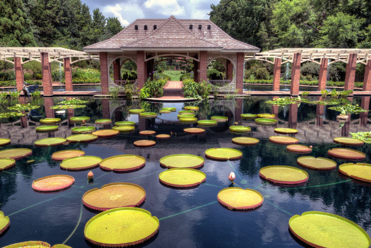 Huntsville Botanical Garden Trip Packages