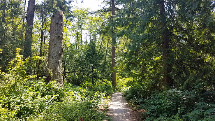 Bose Forest Park Trip Packages