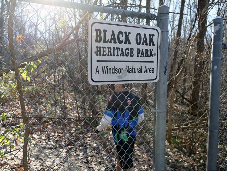 Black Oak Heritage Park Trip Packages