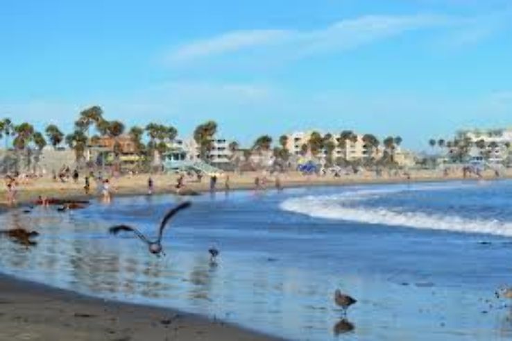  Venice Beach Trip Packages