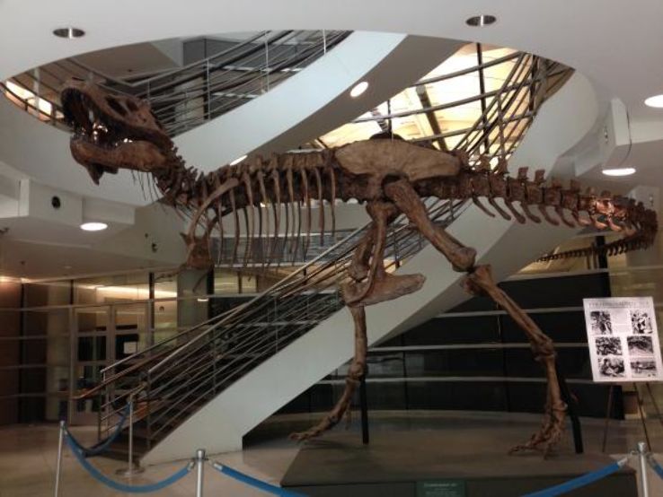 University of California Museum of Paleontology Trip Packages