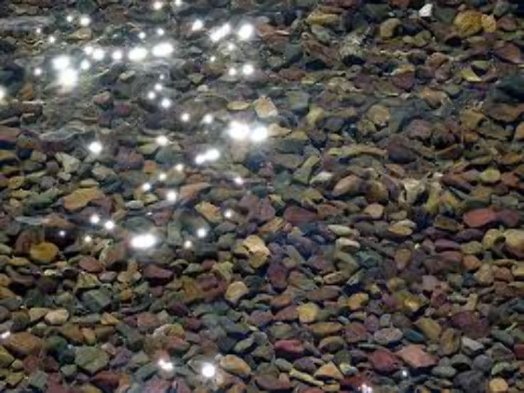 Lake McDonald Trip Packages