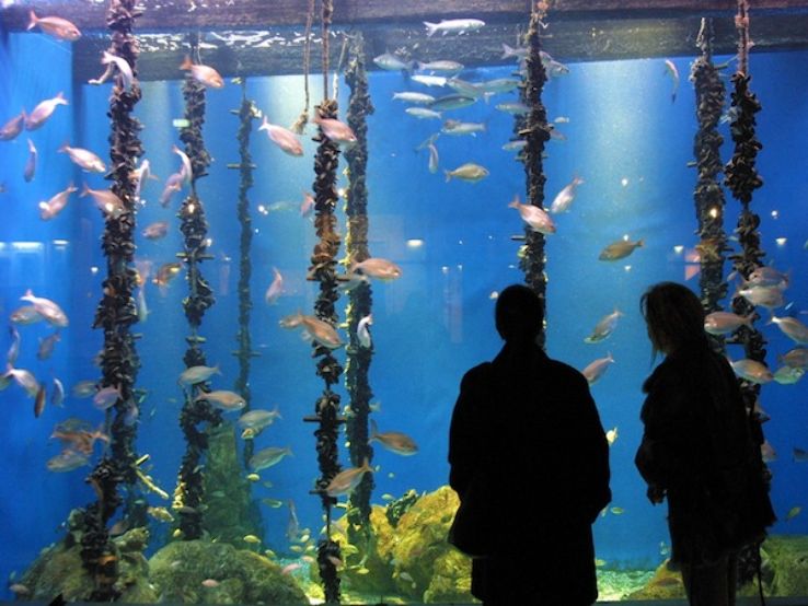 Aquarium Finisterrae Trip Packages