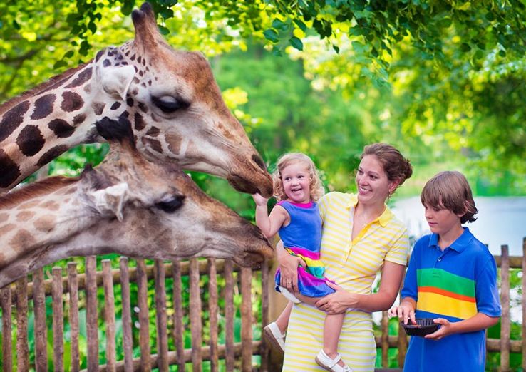 Palm Beach Zoo Trip Packages