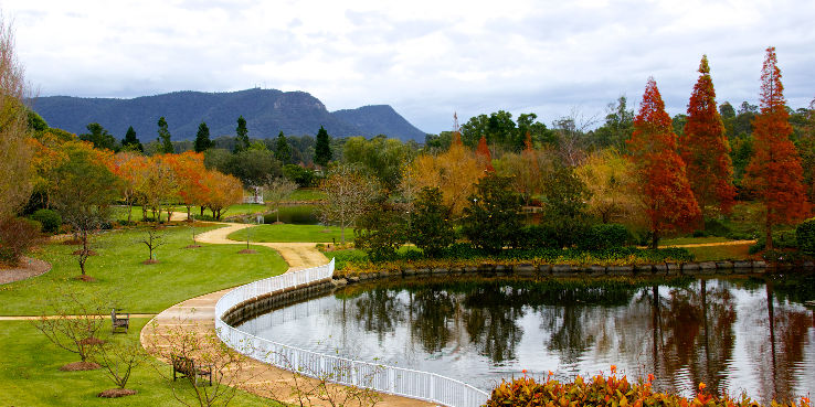 Hunter Valley Trip Packages