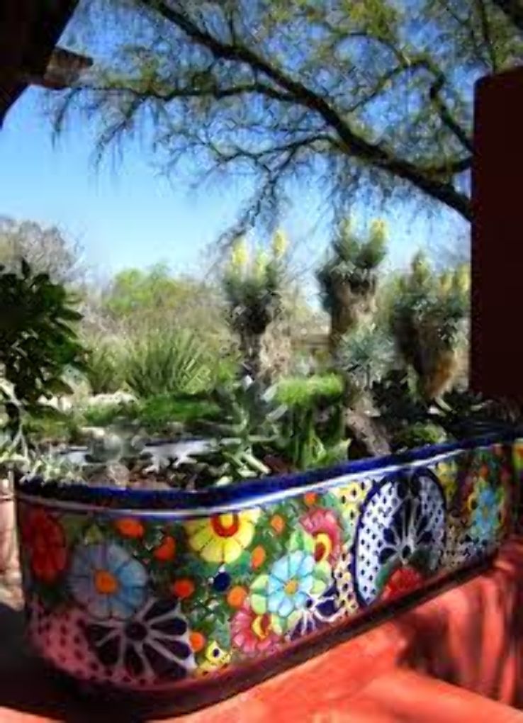 Tucson Botanical Gardens Trip Packages