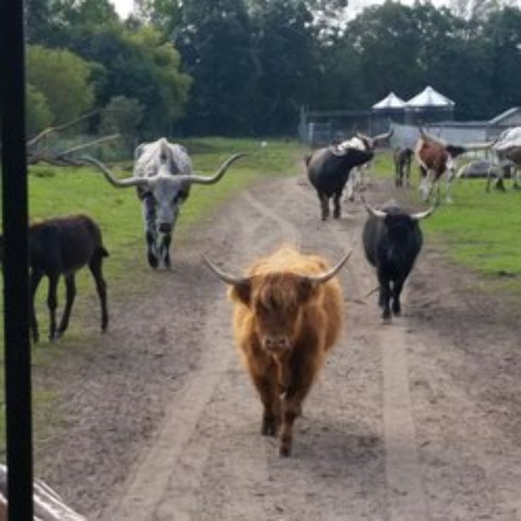 Dutch Creek Farm Animal Park Trip Packages