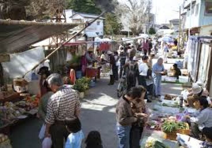 Katsuura Trip Packages