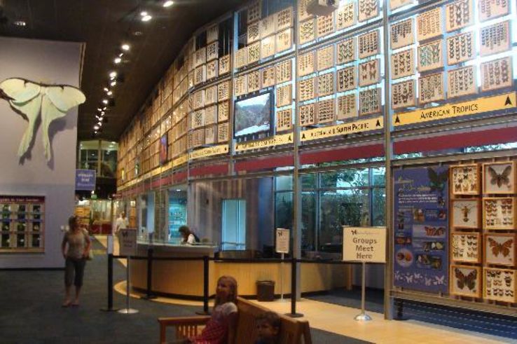 Gainesville Trip Packages