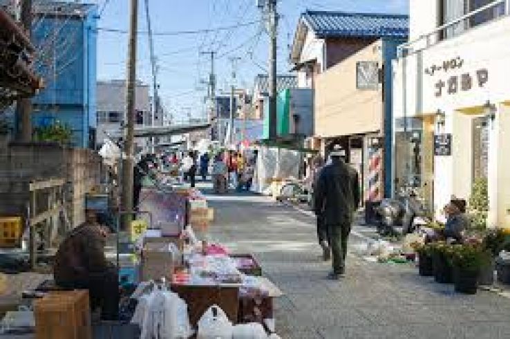 Katsuura Morning Market Trip Packages