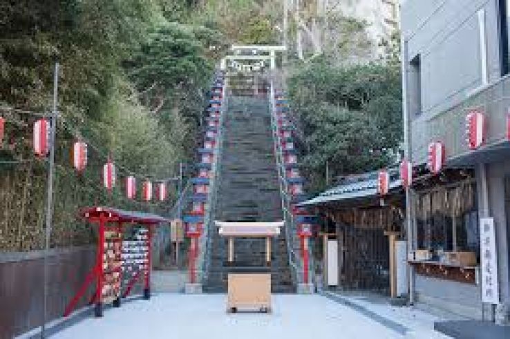 Katsuura Morning Market Trip Packages