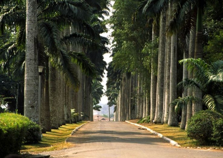 Aburi Botanical Gardens Trip Packages