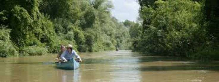 Mures Floodplain Natural Park Trip Packages