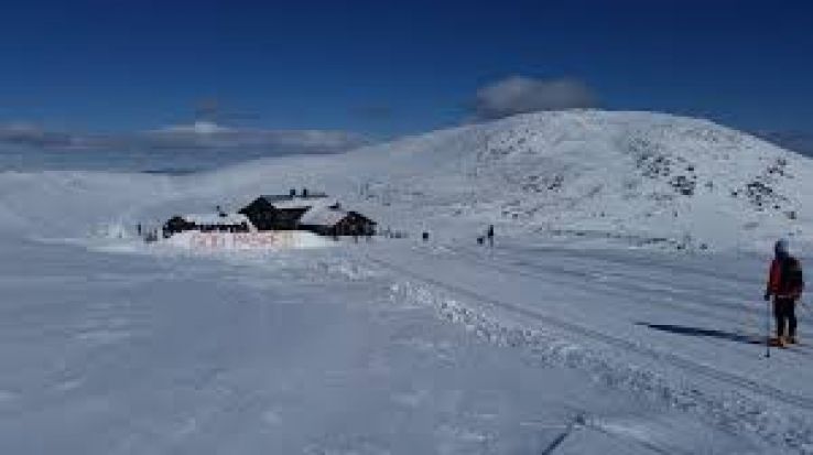 Hogevarde Trip Packages