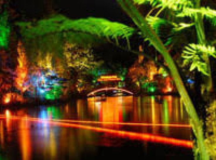 Pukekura Park Trip Packages