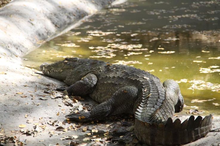 Indroda Nature Park Trip Packages