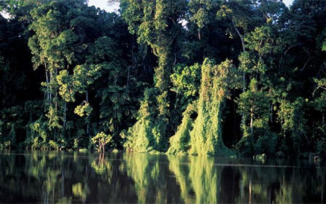 Amazon Rainforest Tours Trip Packages