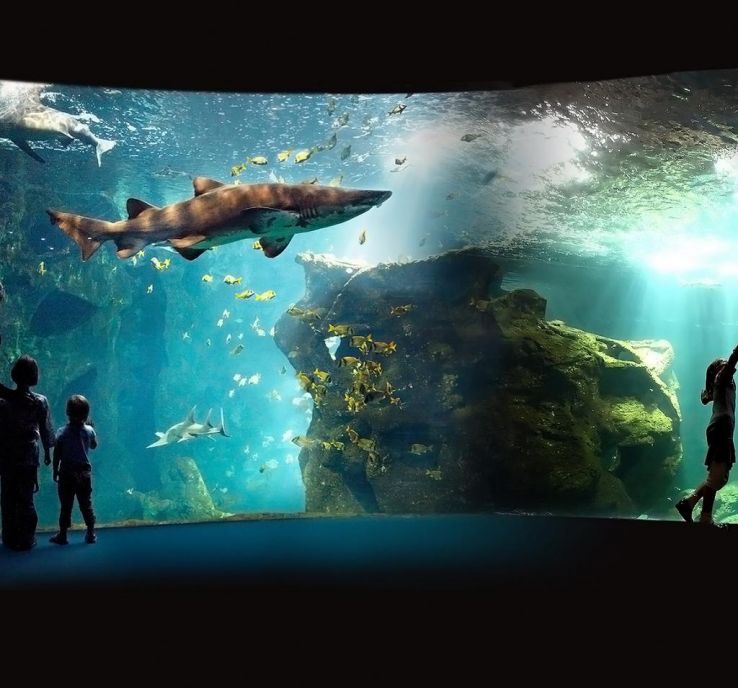 Aquarium de La Rochelle Trip Packages