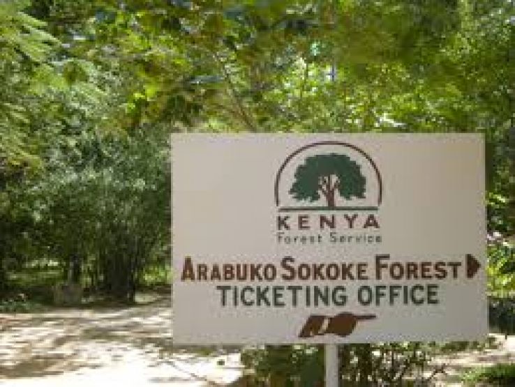 Arabuko Sokoke National Park Trip Packages