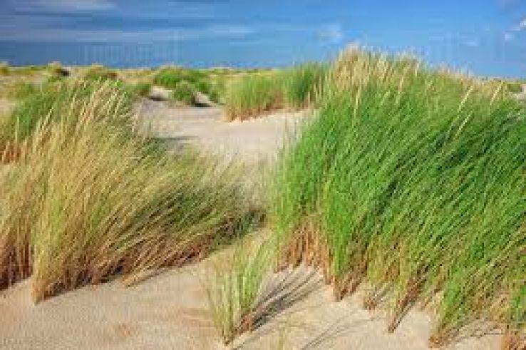 Dunes of Texel National Park Trip Packages
