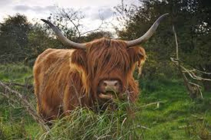 Zuid-Kennemerland National Park Trip Packages