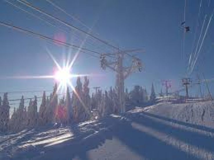 Varingskollen Trip Packages