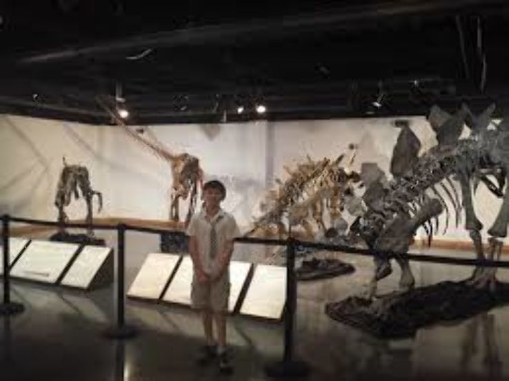 Lafayette Science Museum Trip Packages