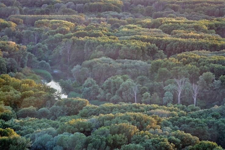 Fischamend Trip Packages