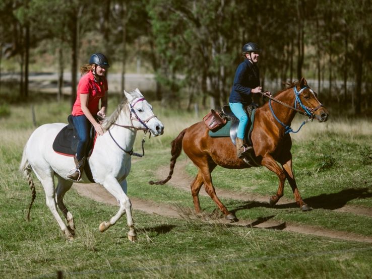 Chapman Valley Horse Riding Trip Packages