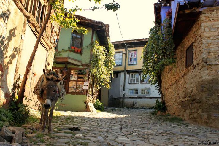 Cumalikizik Village Trip Packages